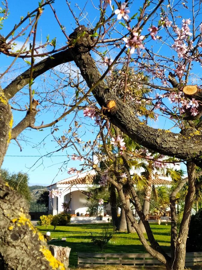 La Tenora Villa Tivenys Luaran gambar
